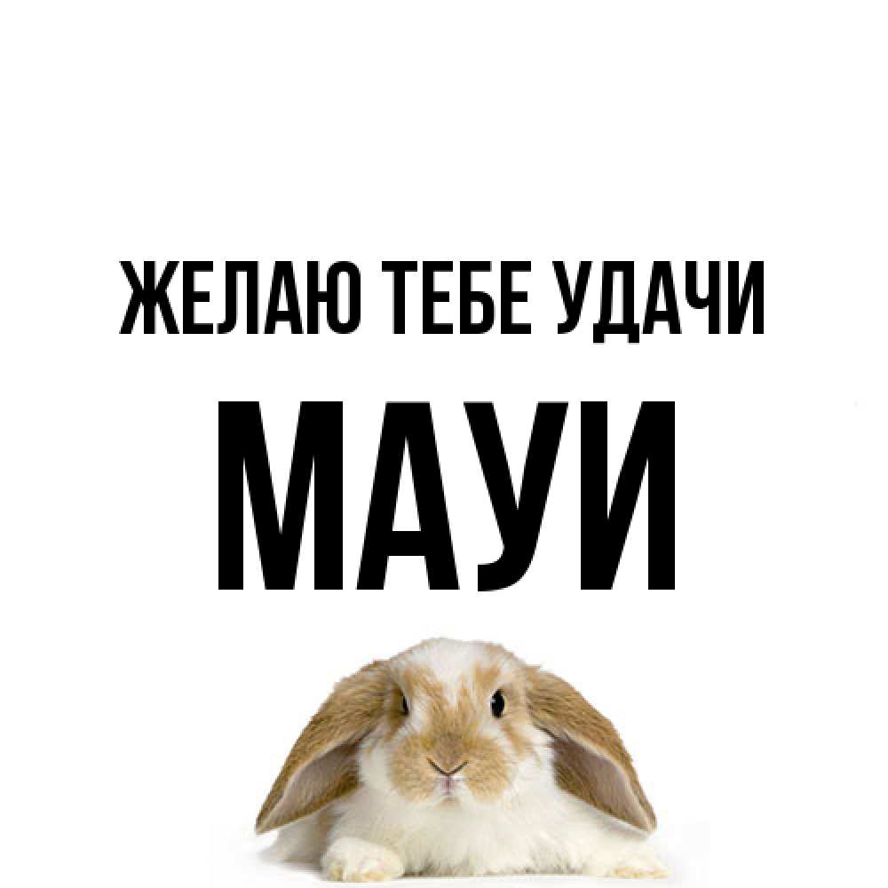 Открытка на каждый день с именем, Мауи Желаю тебе удачи открытки с произвольным текстом который можно вставить в открытку и создать ее самостоятельно бесплатно онлайн Прикольная открытка с пожеланием онлайн скачать бесплатно 