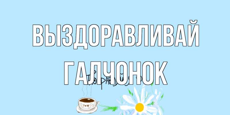 Картинка Выздоравливай, галчонок