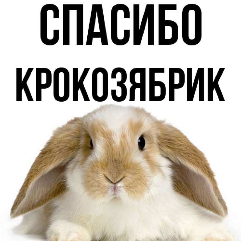 Картинка Спасибо, крокозябрик