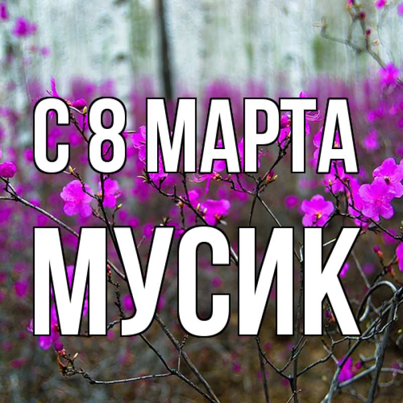 Картинка C 8 МАРТА, мусик