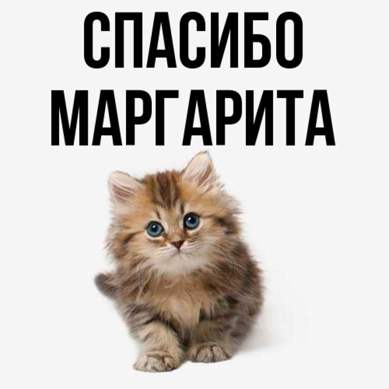 Картинка Спасибо, Маргарита