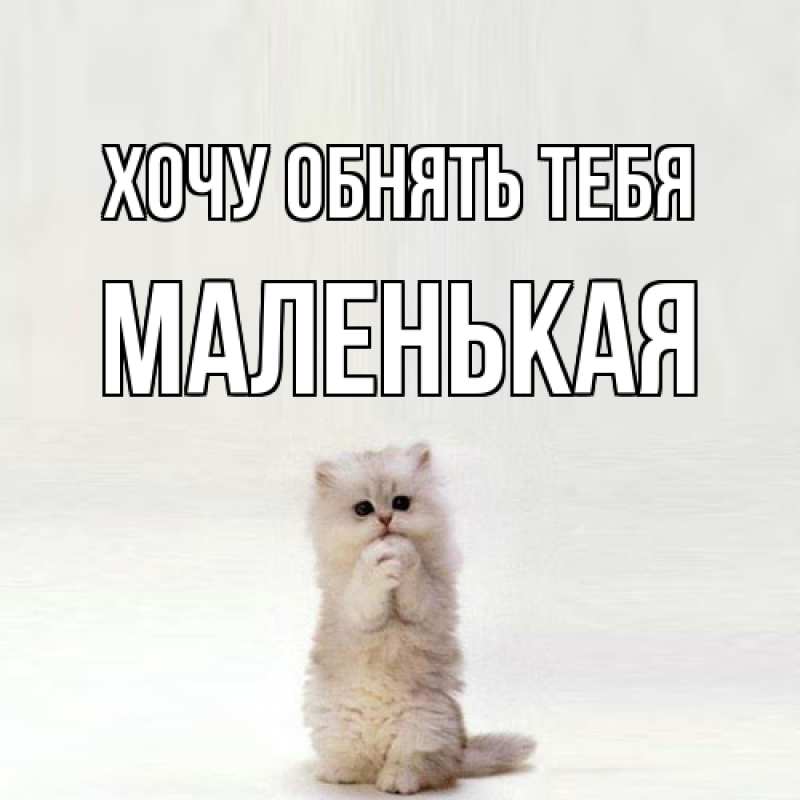 Картинка Хочу обнять тебя, Маленькая