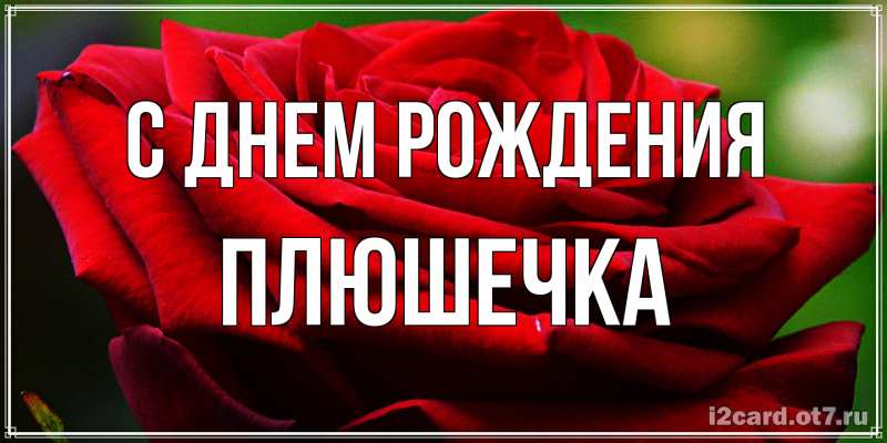 Открытка с именем, Плюшечка, С днем рождения
