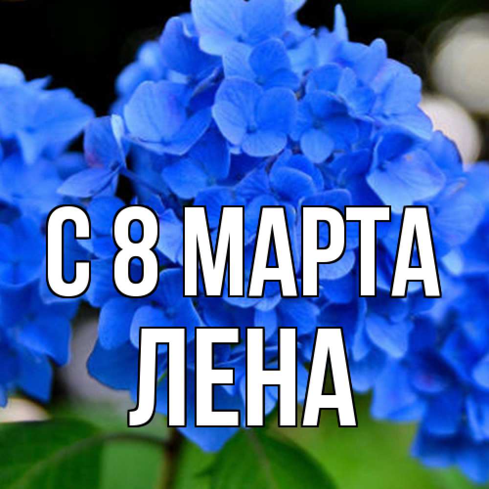 Открытка на каждый день с именем, Лена C 8 МАРТА синие цветы Прикольная открытка с пожеланием онлайн скачать бесплатно 