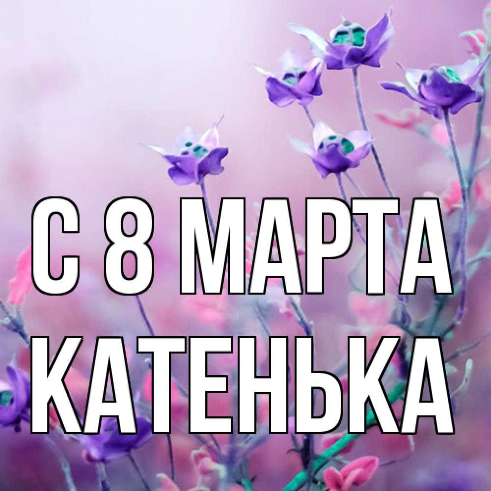 Открытка на каждый день с именем, Катенька C 8 МАРТА международный женский день 2 Прикольная открытка с пожеланием онлайн скачать бесплатно 