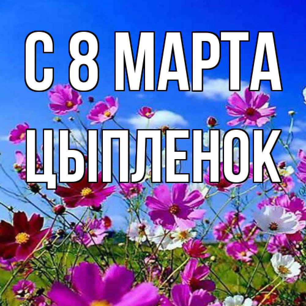 Открытка на каждый день с именем, Цыпленок C 8 МАРТА цветы Прикольная открытка с пожеланием онлайн скачать бесплатно 