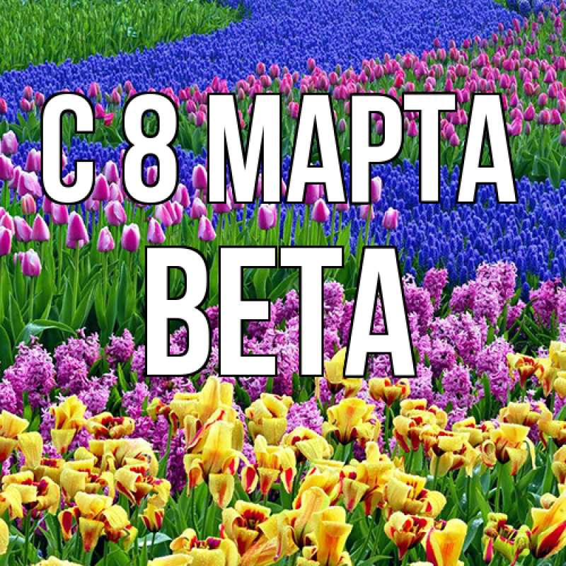 Картинка C 8 МАРТА, Вета