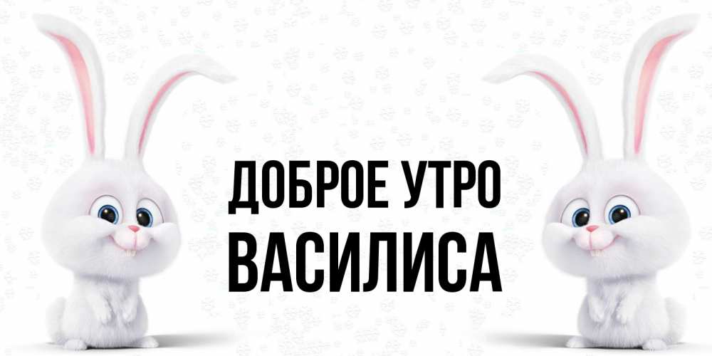 Открытка на каждый день с именем, Василиса Доброе утро кролики с длинными ушками Прикольная открытка с пожеланием онлайн скачать бесплатно 