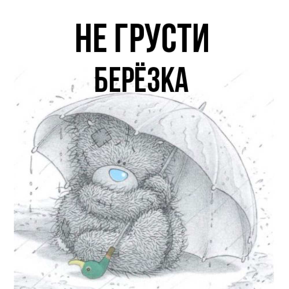 Открытка на каждый день с именем, Берёзка Не грусти спасите мишку Тедди Прикольная открытка с пожеланием онлайн скачать бесплатно 
