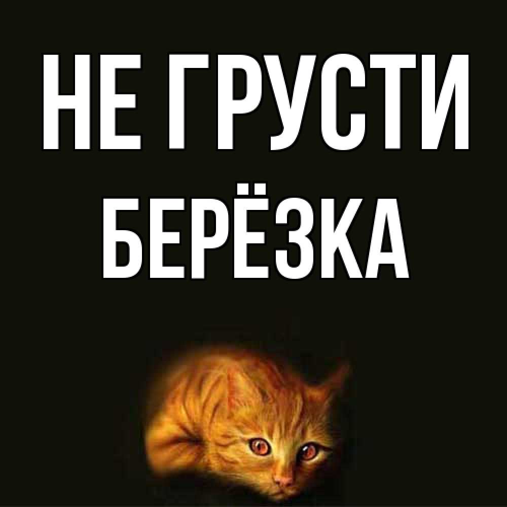 Открытка на каждый день с именем, Берёзка Не грусти лежащий кот в темноте Прикольная открытка с пожеланием онлайн скачать бесплатно 