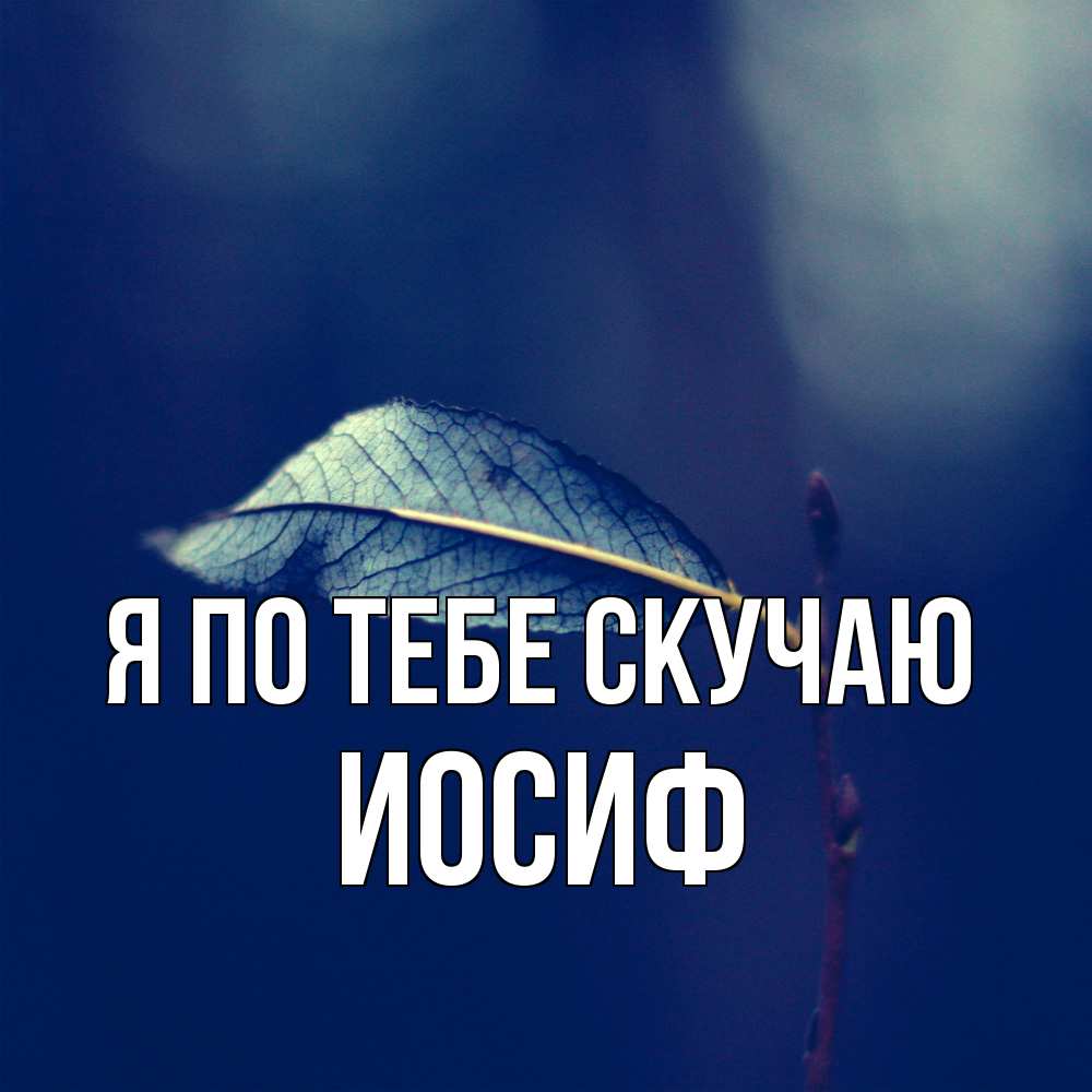 Открытка на каждый день с именем, Иосиф Я по тебе скучаю одна ветка 1 Прикольная открытка с пожеланием онлайн скачать бесплатно 