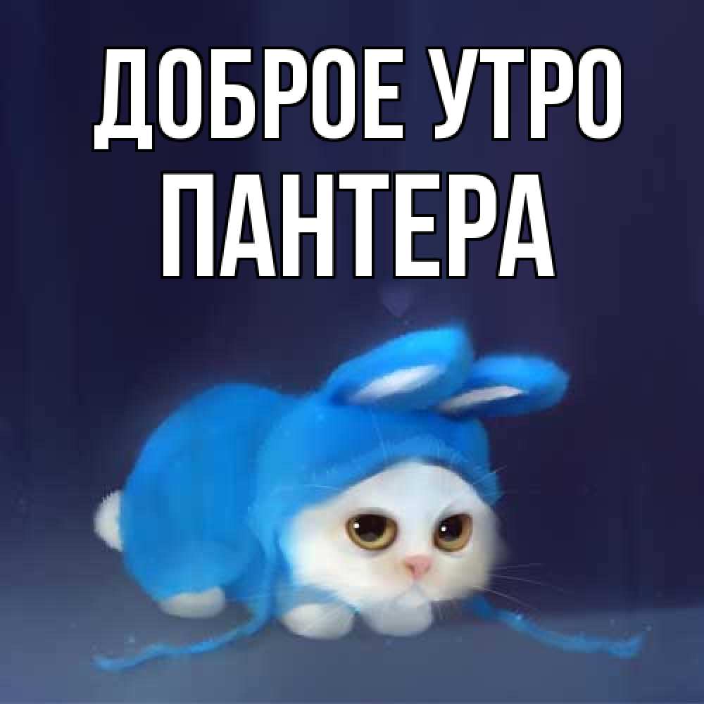 Открытка на каждый день с именем, Пантера Доброе утро открытки красивые скачать бесплатно Прикольная открытка с пожеланием онлайн скачать бесплатно 