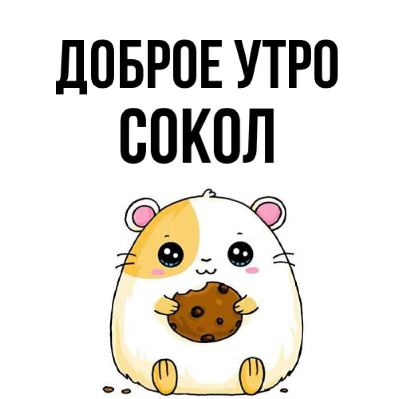 Картинка Доброе утро, Сокол