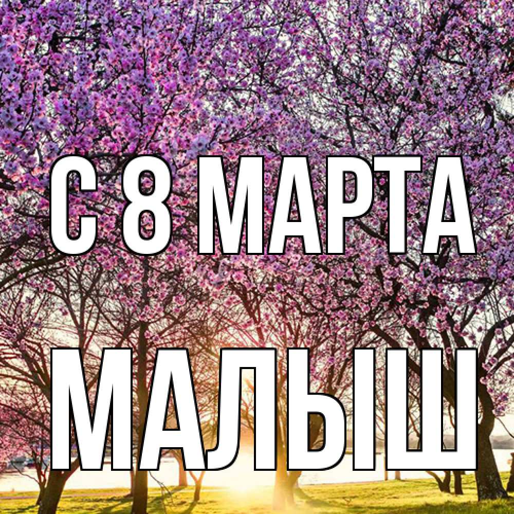 Открытка на каждый день с именем, Малыш C 8 МАРТА международный женский день Прикольная открытка с пожеланием онлайн скачать бесплатно 