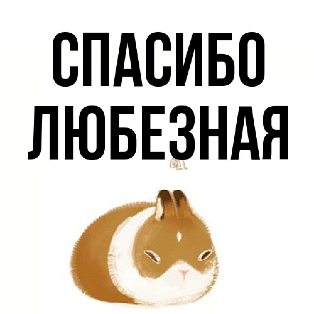 Открытка на каждый день с именем, любезная Спасибо коричнево белый домашний питомец Прикольная открытка с пожеланием онлайн скачать бесплатно 