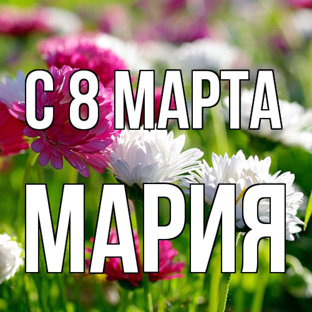 Открытка на каждый день с именем, Мария C 8 МАРТА международный женский день 1 Прикольная открытка с пожеланием онлайн скачать бесплатно 