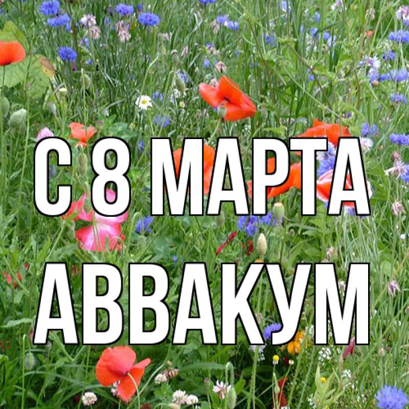 Картинка C 8 МАРТА, Аввакум