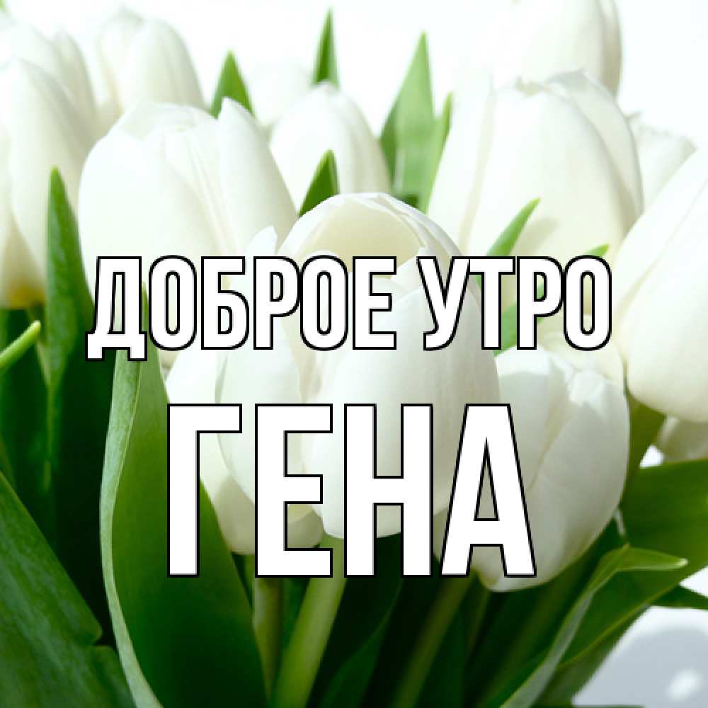 Открытка на каждый день с именем, Гена Доброе утро открытки на каждый день по именам Прикольная открытка с пожеланием онлайн скачать бесплатно 