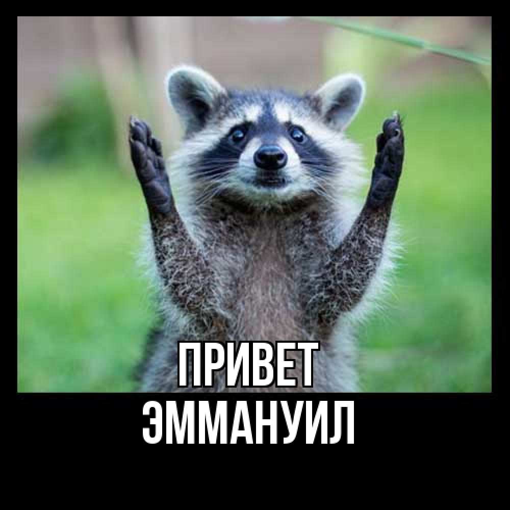 Открытка на каждый день с именем, Эммануил Привет животные Прикольная открытка с пожеланием онлайн скачать бесплатно 