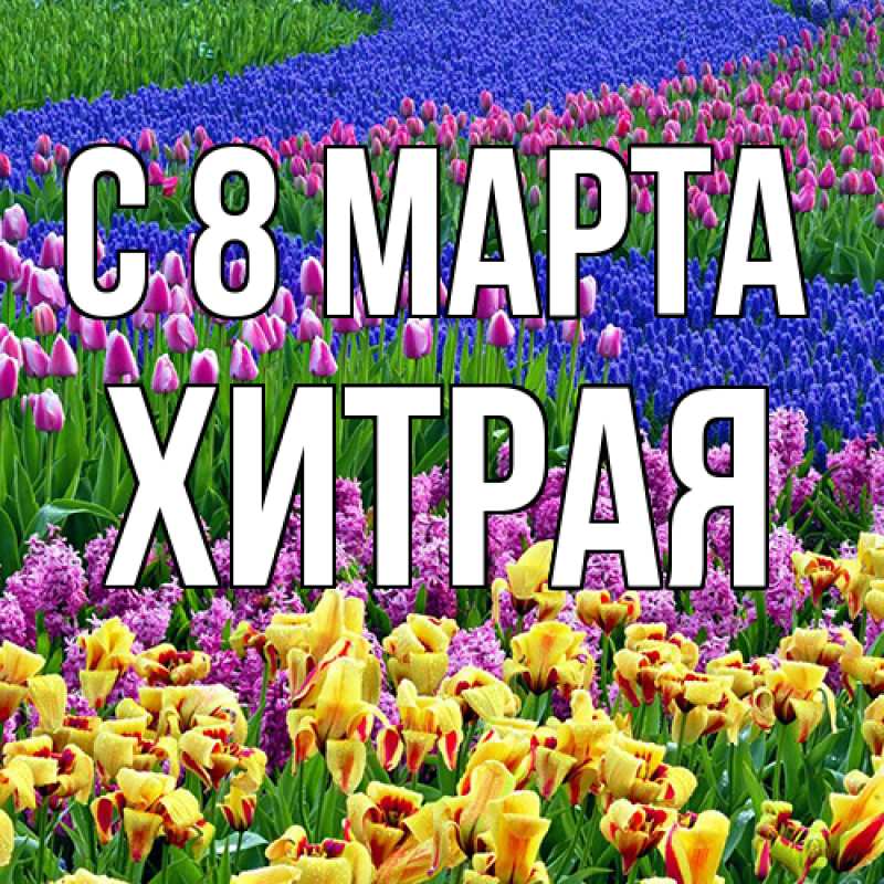 Картинка C 8 МАРТА, хитрая