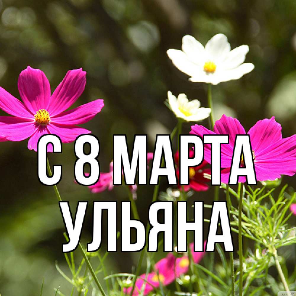 Открытка на каждый день с именем, Ульяна C 8 МАРТА цветы Прикольная открытка с пожеланием онлайн скачать бесплатно 