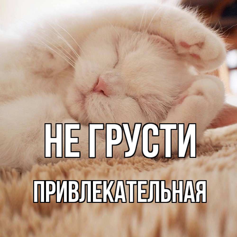 Открытка на каждый день с именем, привлекательная Не грусти белый кот Прикольная открытка с пожеланием онлайн скачать бесплатно 