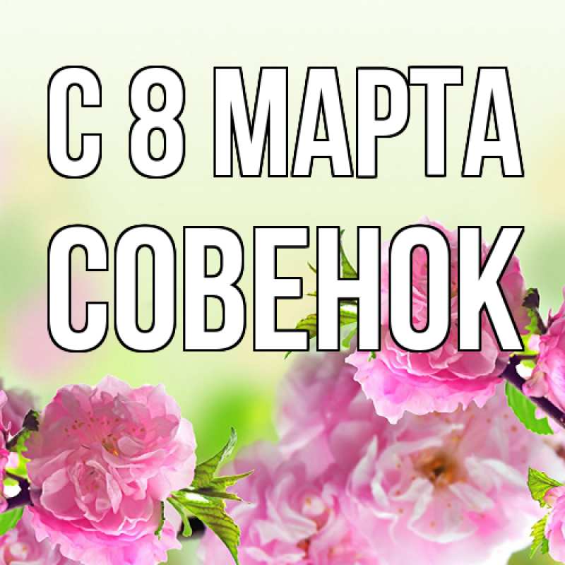 Картинка C 8 МАРТА, совенок