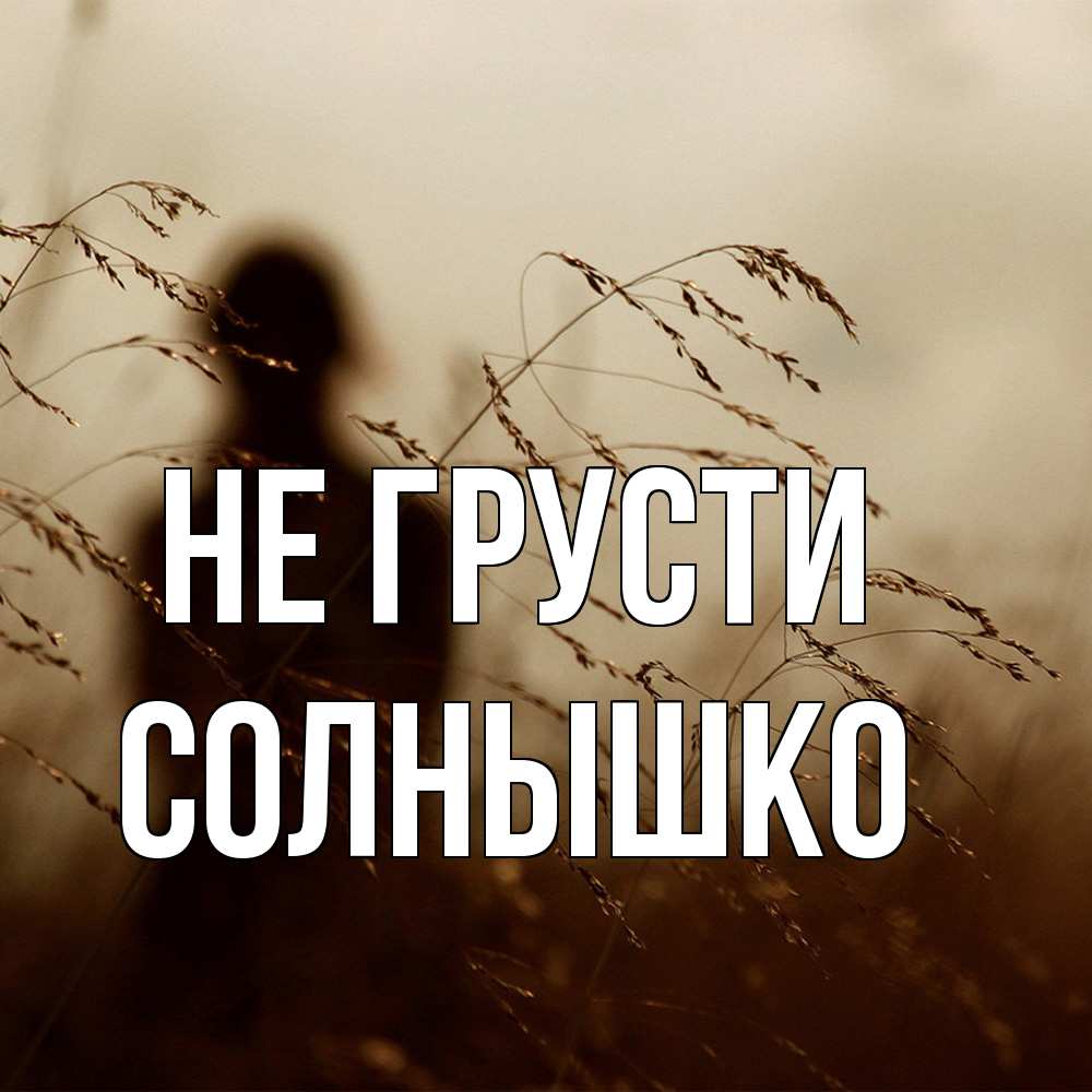 Открытка на каждый день с именем, Солнышко Не грусти грусть Прикольная открытка с пожеланием онлайн скачать бесплатно 