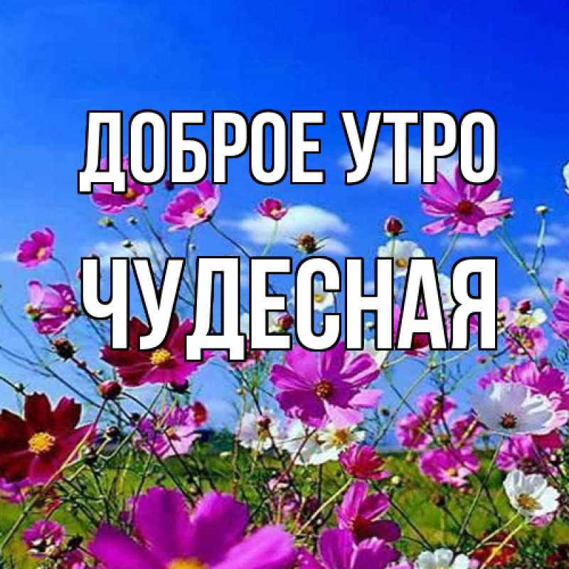 Картинка Доброе утро, Чудесная