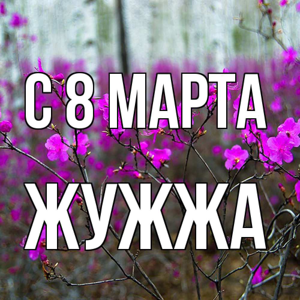Открытка на каждый день с именем, Жужжа C 8 МАРТА дикие цветы Прикольная открытка с пожеланием онлайн скачать бесплатно 