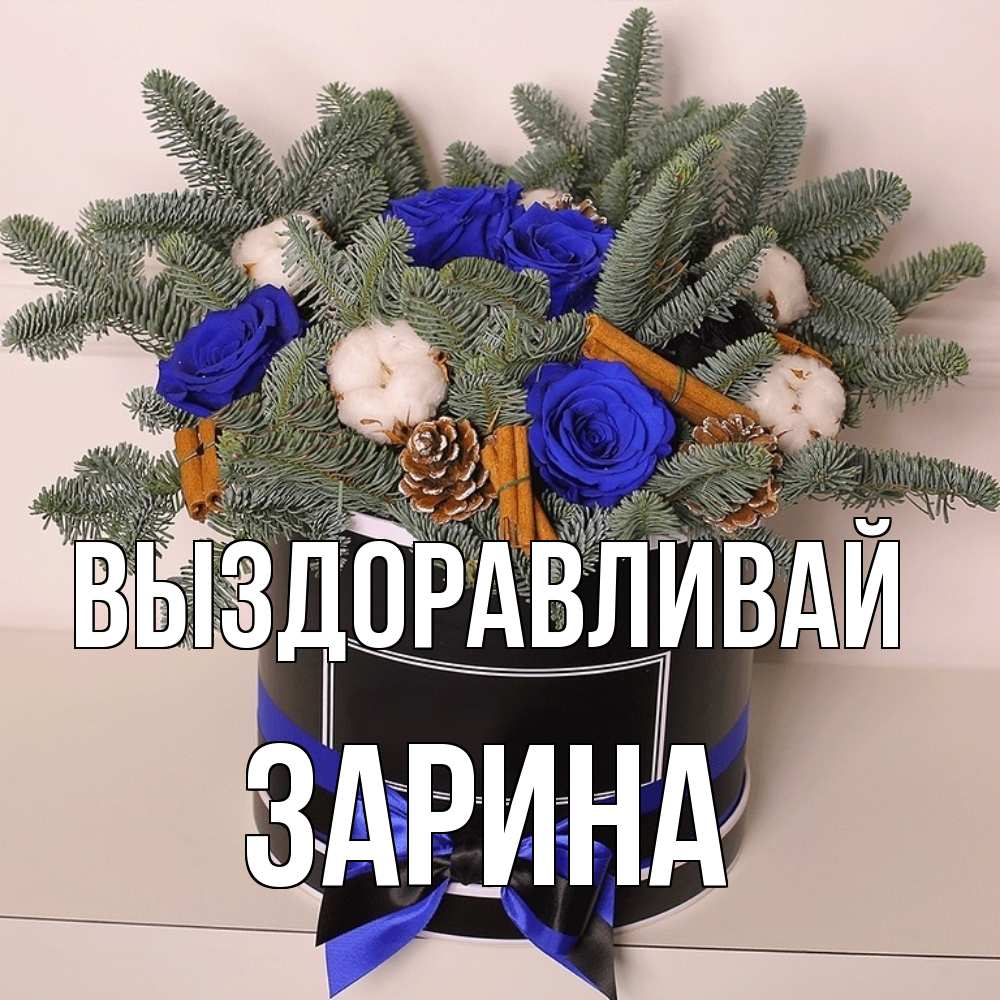 Открытка на каждый день с именем, Зарина Выздоравливай короче кто то загрузил эти шишки Прикольная открытка с пожеланием онлайн скачать бесплатно 