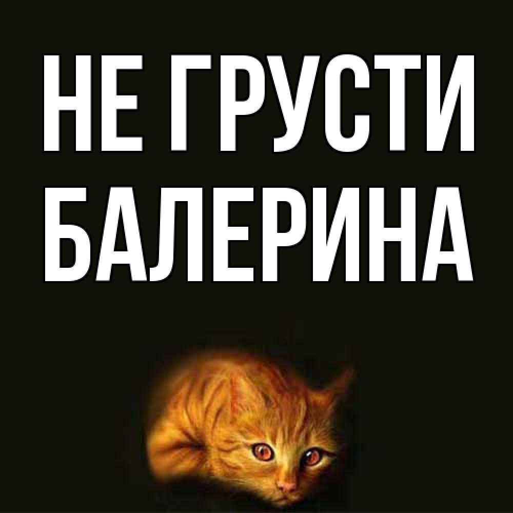 Открытка на каждый день с именем, Балерина Не грусти лежащий кот в темноте Прикольная открытка с пожеланием онлайн скачать бесплатно 