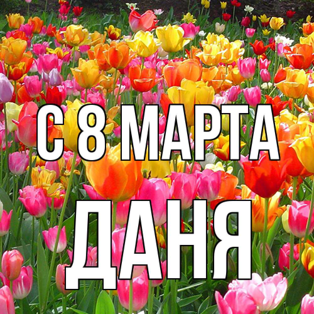 Открытка на каждый день с именем, Даня C 8 МАРТА на международный женский день Прикольная открытка с пожеланием онлайн скачать бесплатно 