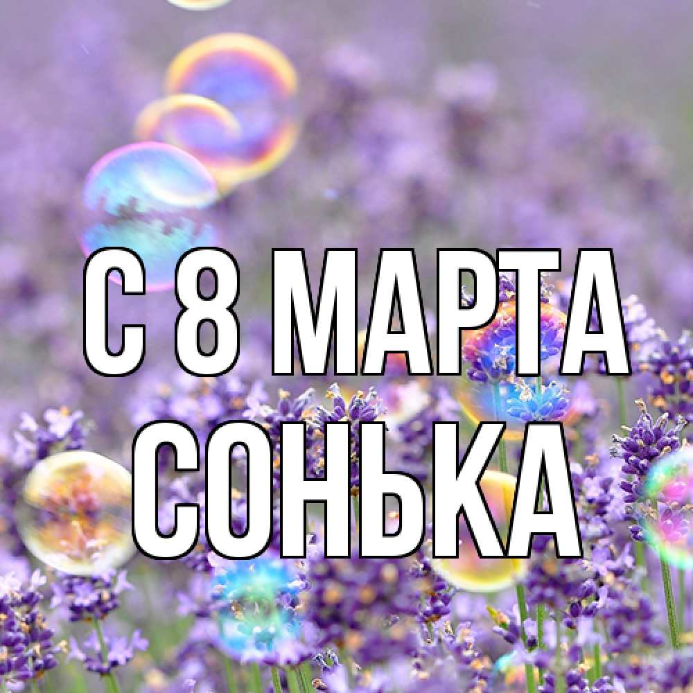 Открытка на каждый день с именем, Сонька C 8 МАРТА цветы Прикольная открытка с пожеланием онлайн скачать бесплатно 