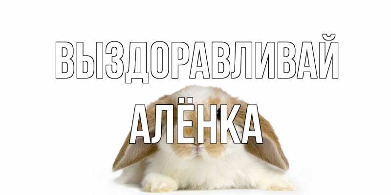 Картинка Выздоравливай, Алёнка