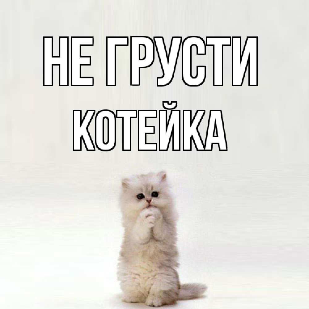 Открытка на каждый день с именем, Котейка Не грусти грустный кот Прикольная открытка с пожеланием онлайн скачать бесплатно 