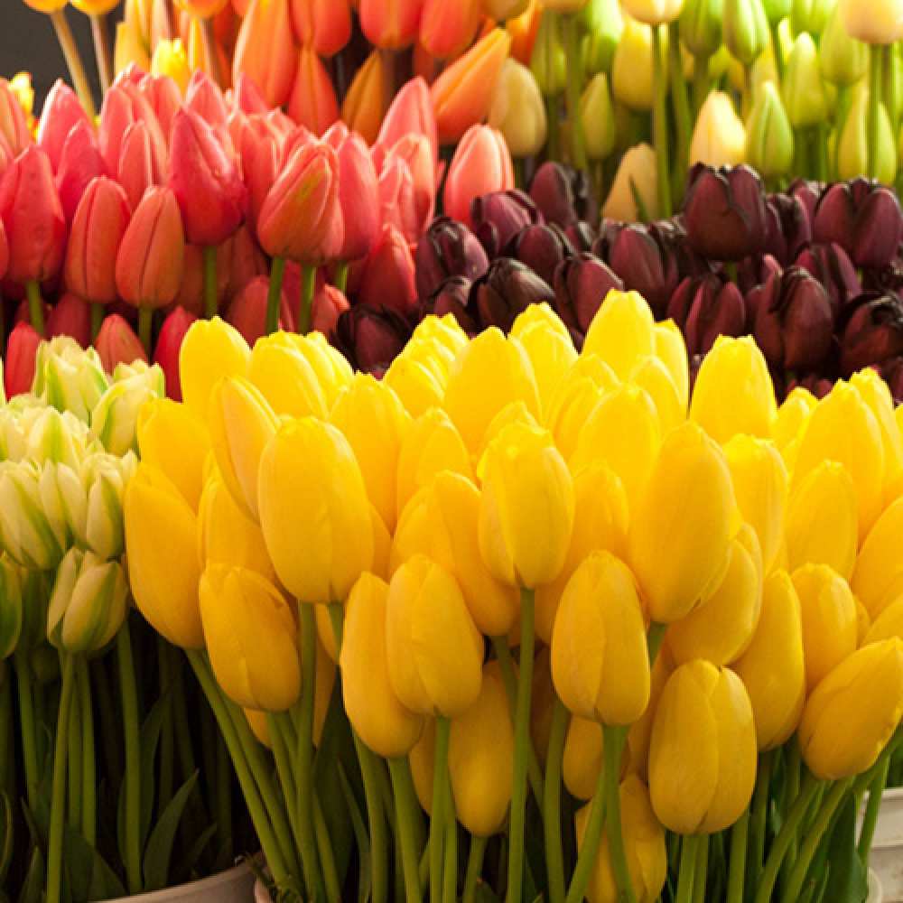 Открытка на каждый день с именем, Упоительная C 8 МАРТА цветы Прикольная открытка с пожеланием онлайн скачать бесплатно 