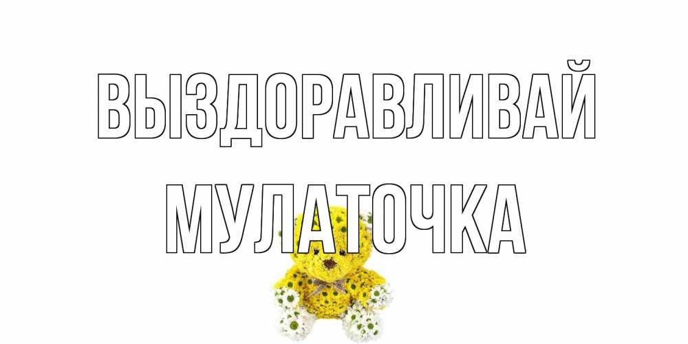Открытка на каждый день с именем, Мулаточка Выздоравливай мишка Прикольная открытка с пожеланием онлайн скачать бесплатно 