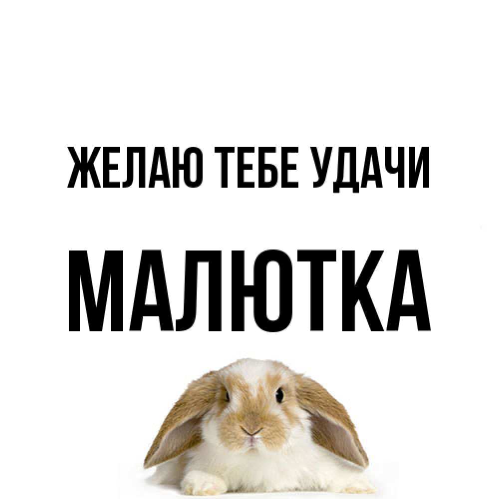 Открытка на каждый день с именем, малютка Желаю тебе удачи открытки с произвольным текстом который можно вставить в открытку и создать ее самостоятельно бесплатно онлайн Прикольная открытка с пожеланием онлайн скачать бесплатно 