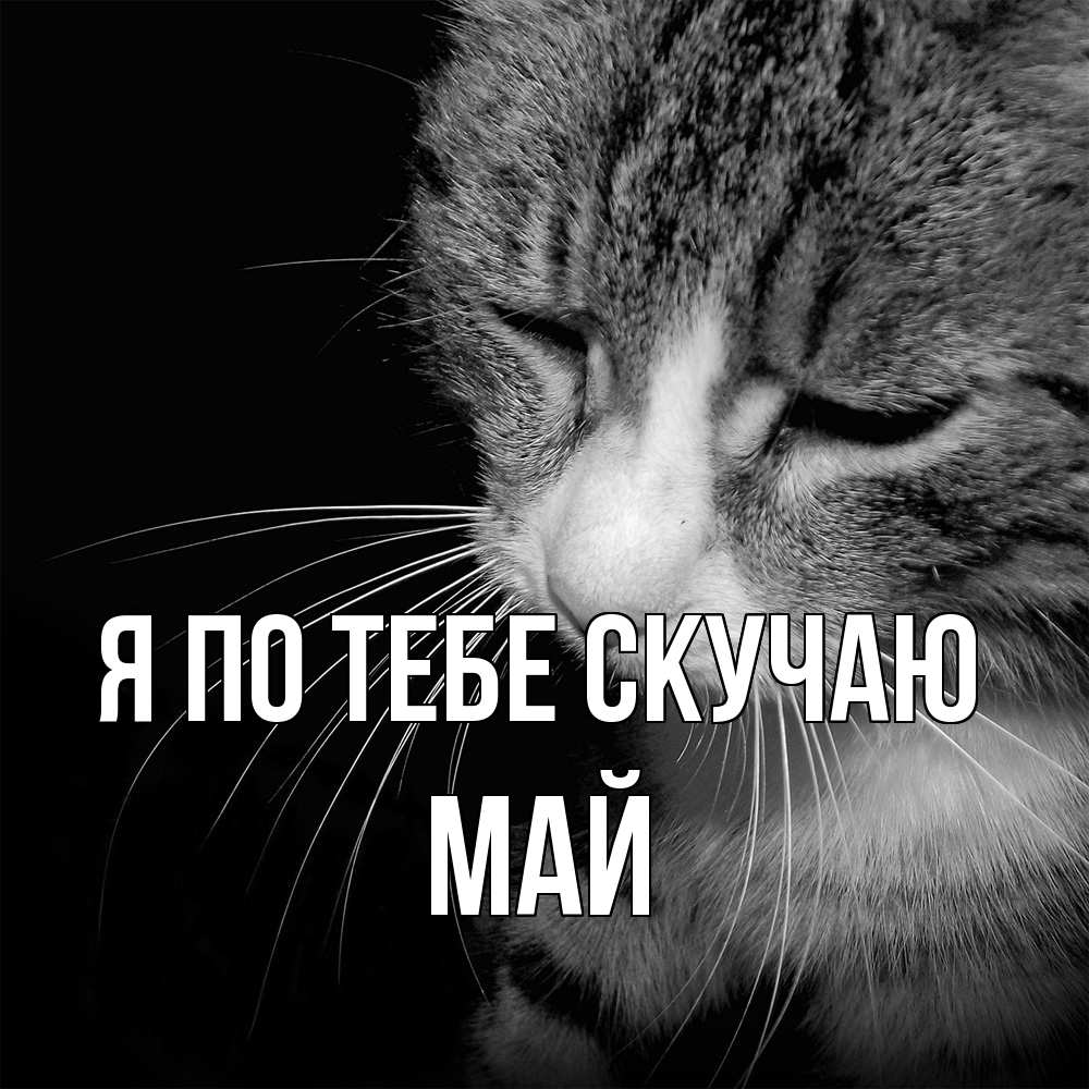 Открытка на каждый день с именем, Май Я по тебе скучаю мне скучно Прикольная открытка с пожеланием онлайн скачать бесплатно 