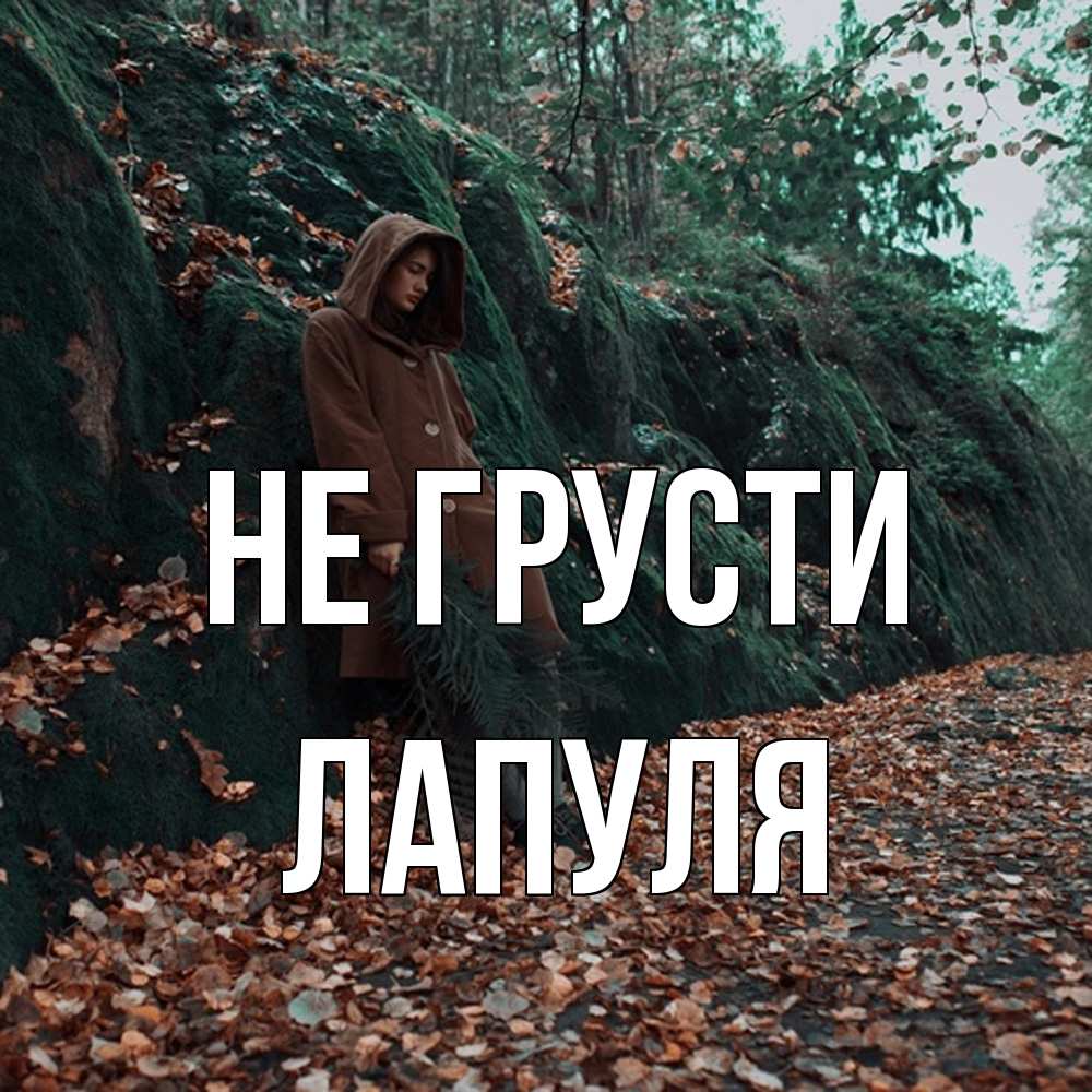 Открытка на каждый день с именем, Лапуля Не грусти осенний лес Прикольная открытка с пожеланием онлайн скачать бесплатно 