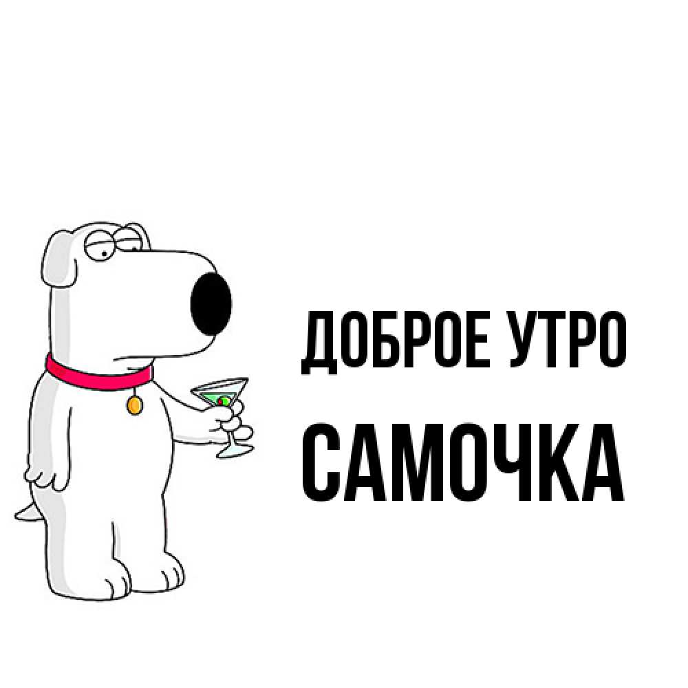 Открытка на каждый день с именем, Самочка Доброе утро герои мультфильмов белый пес Прикольная открытка с пожеланием онлайн скачать бесплатно 