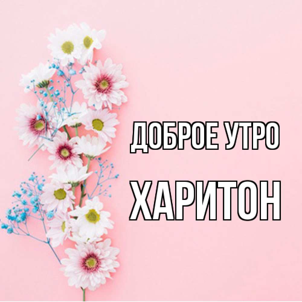 Открытка на каждый день с именем, Харитон Доброе утро цветы с подписью Прикольная открытка с пожеланием онлайн скачать бесплатно 