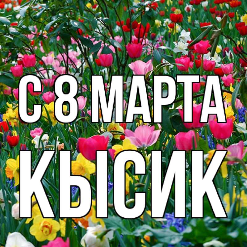 Картинка C 8 МАРТА, Кысик
