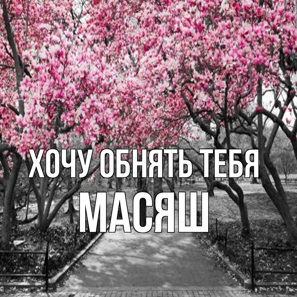 Открытка на каждый день с именем, Масяш Хочу обнять тебя обработанное фото Прикольная открытка с пожеланием онлайн скачать бесплатно 