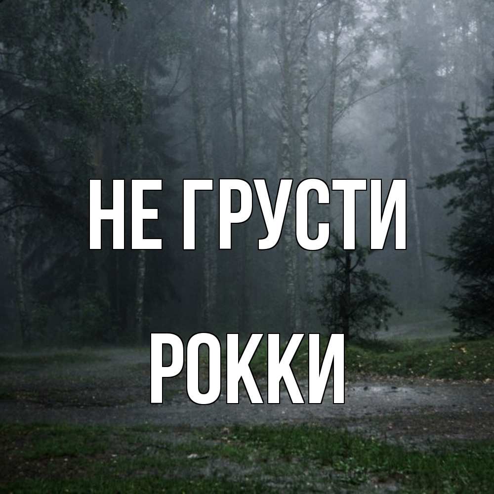 Открытка на каждый день с именем, Рокки Не грусти осень Прикольная открытка с пожеланием онлайн скачать бесплатно 