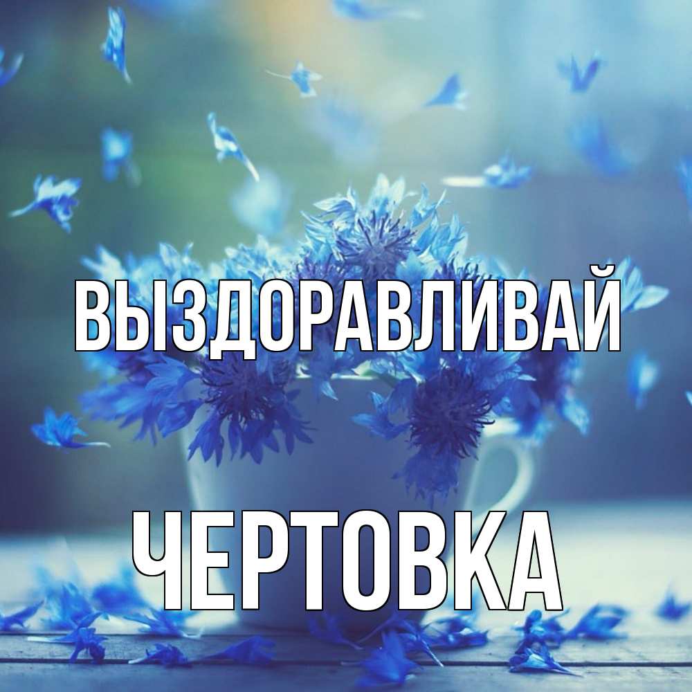 Открытка на каждый день с именем, Чертовка Выздоравливай кружка с зельем и цветами Прикольная открытка с пожеланием онлайн скачать бесплатно 