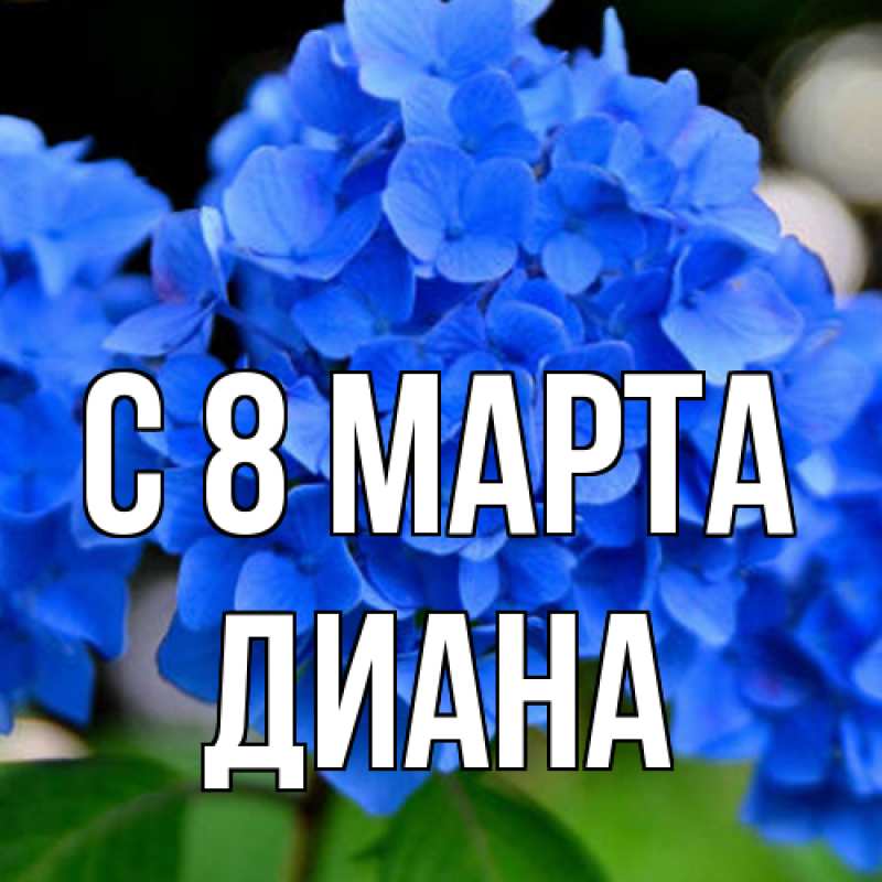 Картинка C 8 МАРТА, Диана