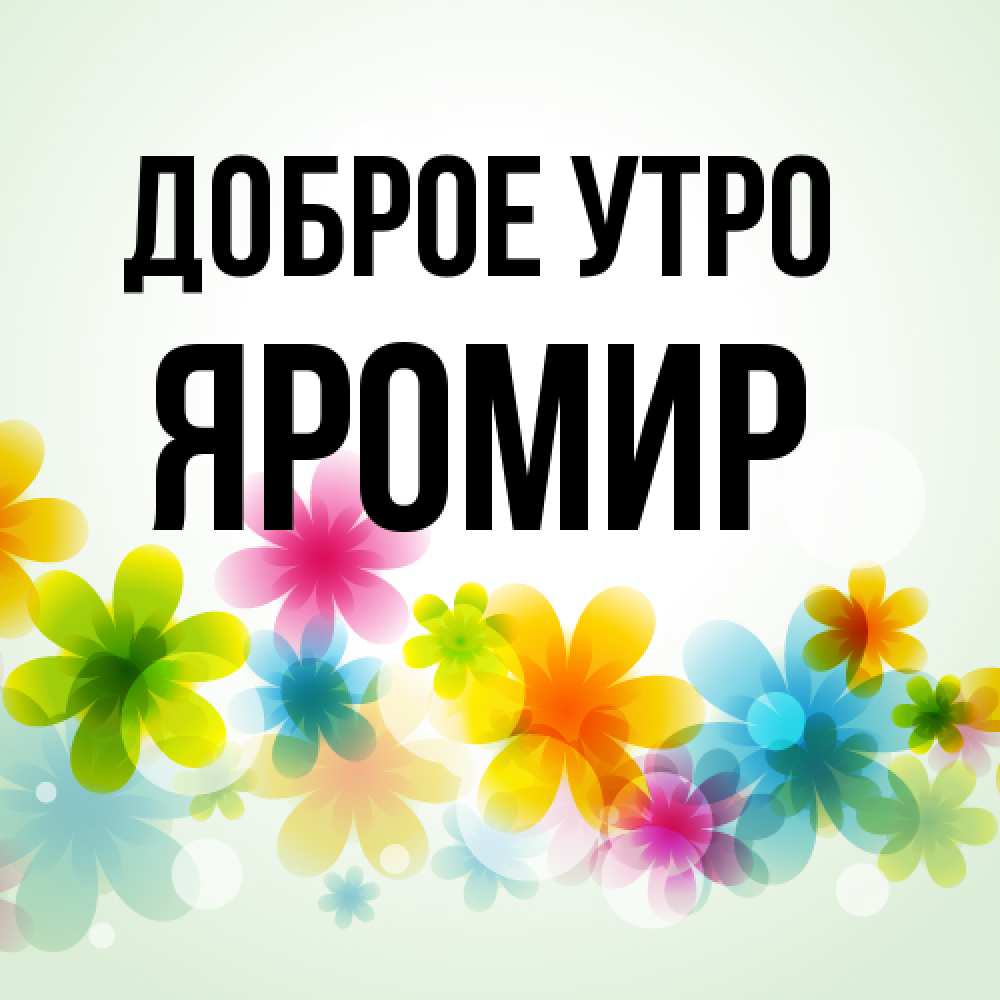 Открытка на каждый день с именем, Яромир Доброе утро позитивные цветочки Прикольная открытка с пожеланием онлайн скачать бесплатно 