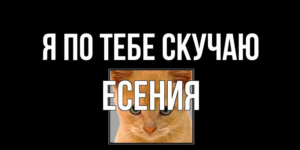 Открытка на каждый день с именем, Есения Я по тебе скучаю открытки рыжий котенок скучает по тебе Прикольная открытка с пожеланием онлайн скачать бесплатно 